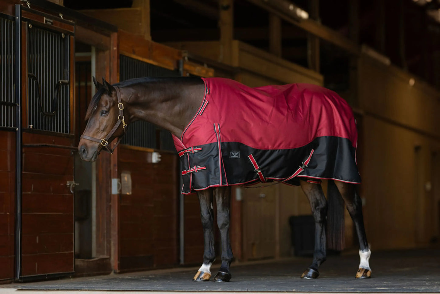 TuffRider Comfy Fit 1200 D RipStop Waterproof/Breathable Comfy Winter Turnout Blanket Medium Weight 200 GSM Standard Neck W/Adjustable Neck - Two Tone Red/Black -69